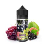 BIGG (Fruits) 24ml (Longfill)